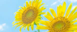 健康アドバイス